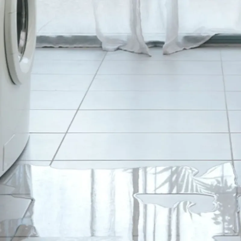 Appliance Leak Cleanup in Manassas Park, VA
