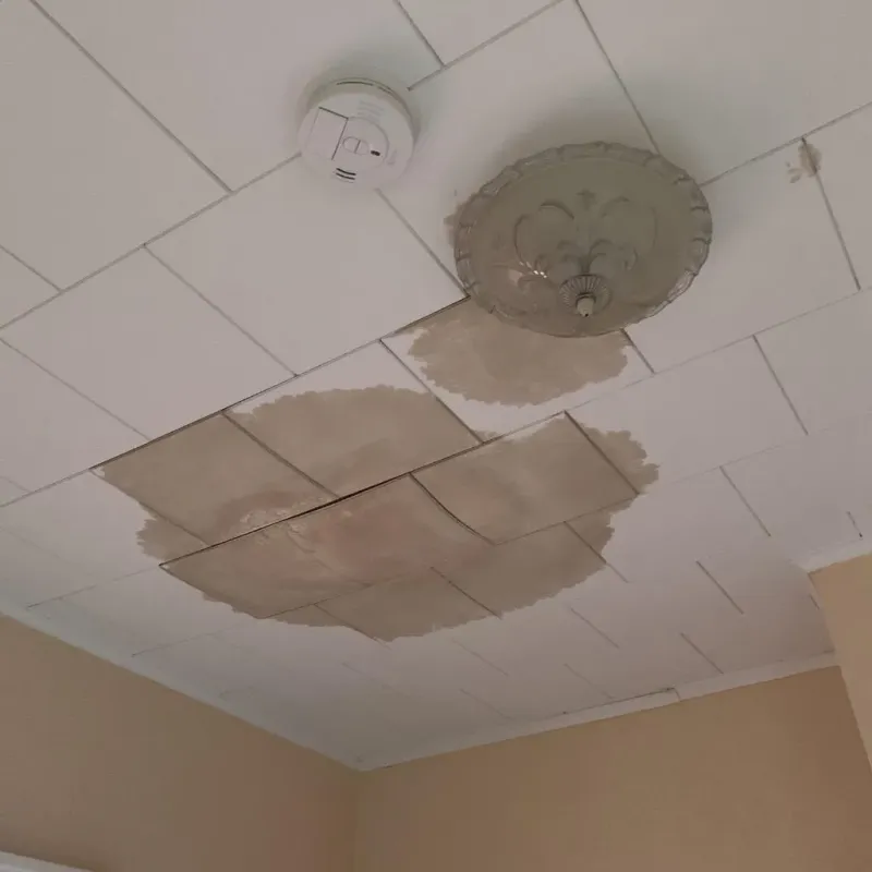 Ceiling Water Damage Repair in Manassas Park, VA
