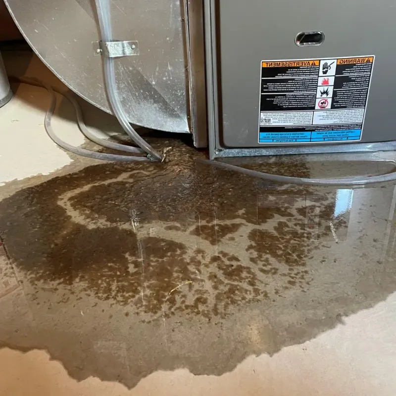 Pipe Burst and Leak Restoration in Manassas Park, VA